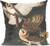 Barn Owl, Tyto Alba