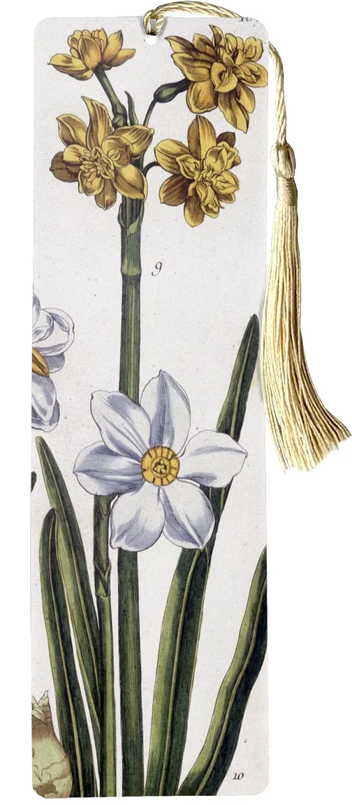 Zakładka do książki Narcyz Maria Sibylla Merian