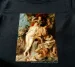 Koszulka z nadrukiem Zjednoczenie wody i ziemi Peter Paul Rubens