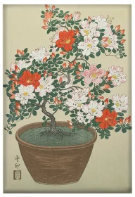 Magnes Azalia w doniczce Ohara Koson