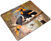 Podkładka Concave casque Hornbill Joseph Wolf 24x19cm