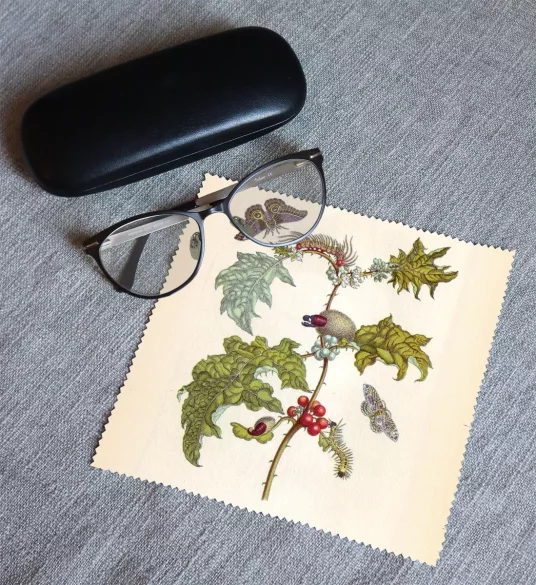 Ściereczka do okularów Metamorfoza owadów Surinamensium Maria Sibylla Merian