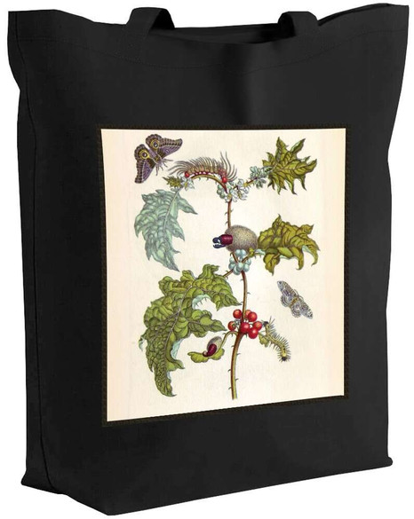 Torba z naszywką Metamorfoza owadów Surinamensium Maria Sibylla Merian