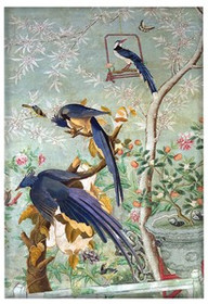 Magnes A pair of magpie jays James Audubon