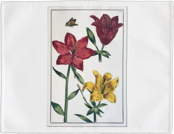 Podkładka na stół Lilia czerwona Maria Sibylla Merian