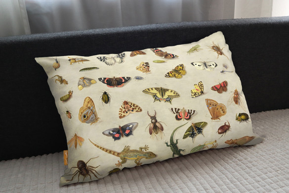 Poduszka Studium owadów Jan van Kessel (starszy)