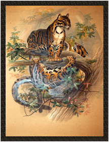 Naszywka The Clouded Tiger Joseph Wolf