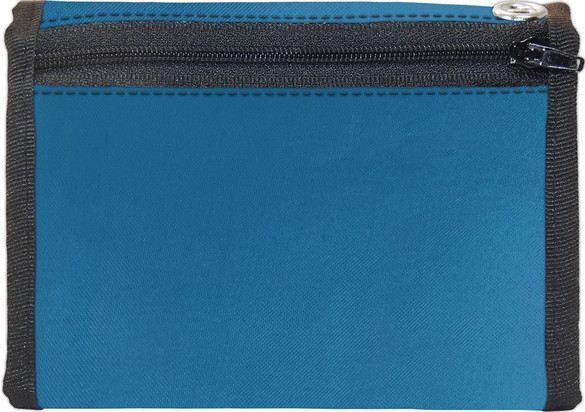 Portfel Czarne koty na śniegu Louis Wain