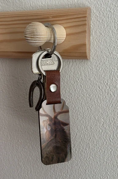 Brelok Interrupted Joseph Wolf