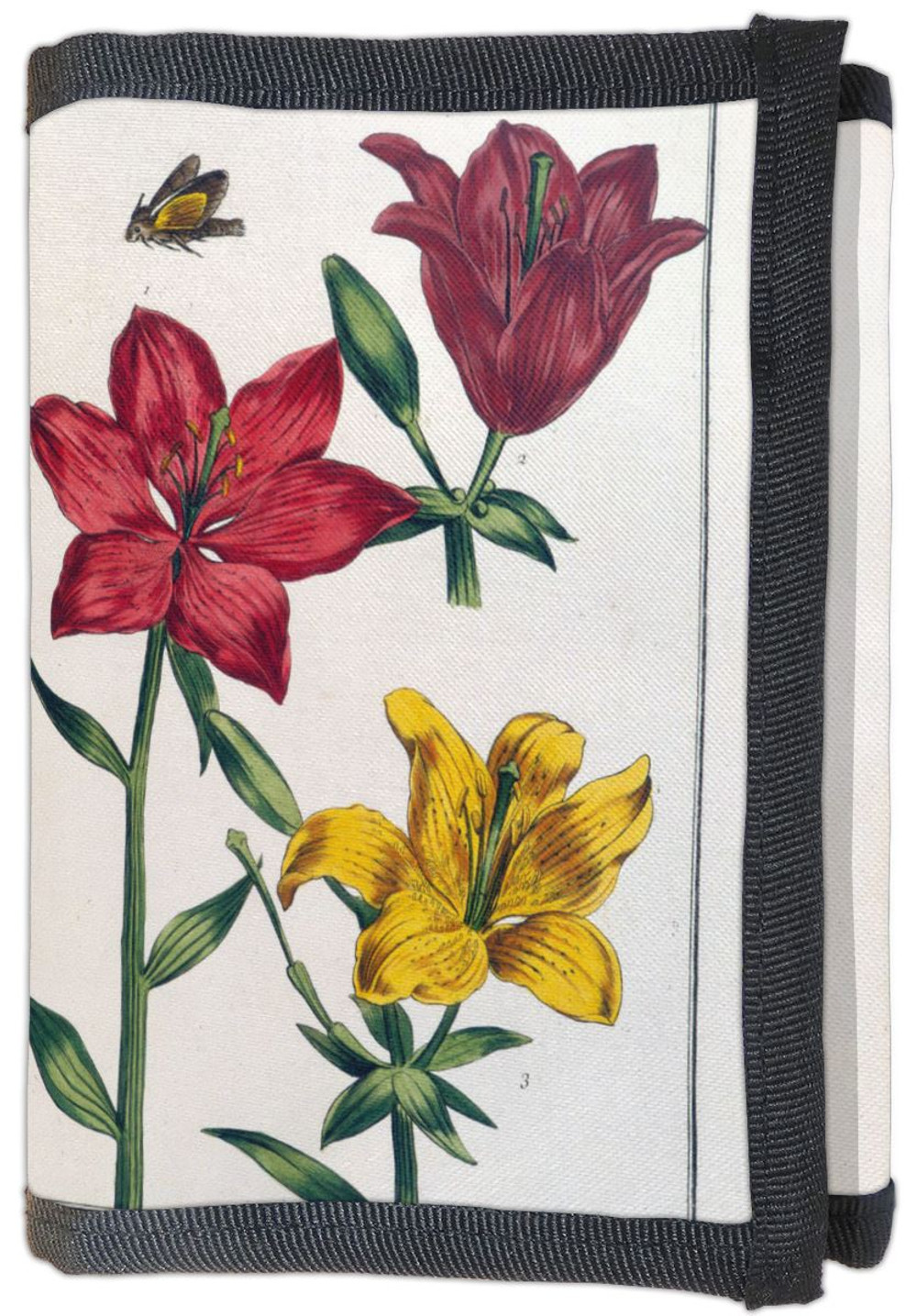 Portfel Lilia czerwona Maria Sibylla Merian