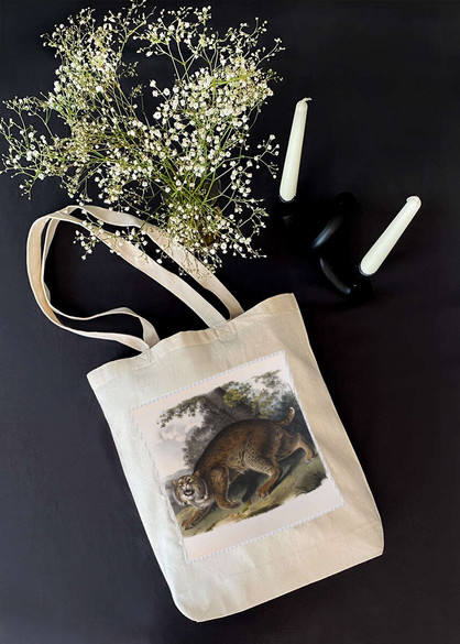 Torba z naszywką Common American Wildcat James Audubon