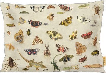Poduszka Studium owadów Jan van Kessel (starszy)