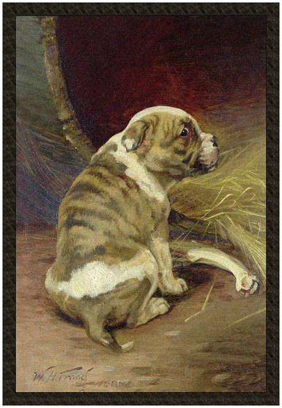 Naszywka Daj psu kość William Henry Hamilton Trood