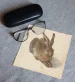 Ściereczka do okularów Młody zając Albrecht Dürer
