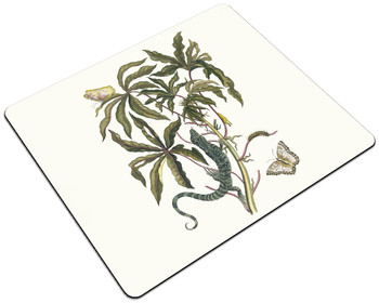 Podkładka Cassave Maria Sibylla Merian 24x19cm