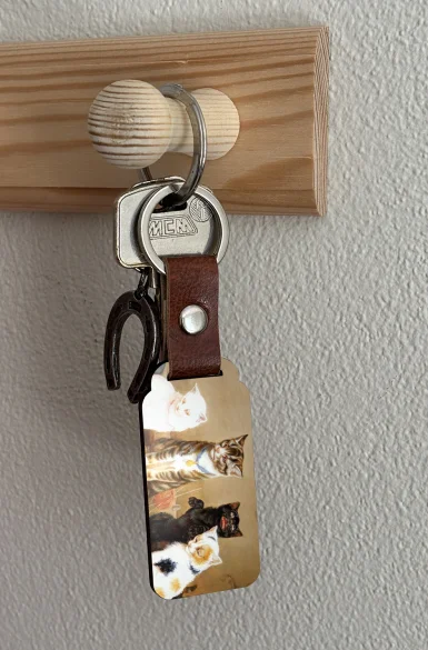 Brelok Prawa kobiet - spotkanie William Henry Hamilton Trood