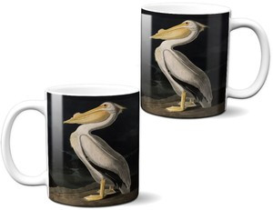 Kubek American White Pelican James Audubon