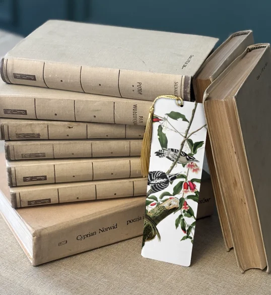 Zakładka do książki Downy Woodpecker  James Audubon