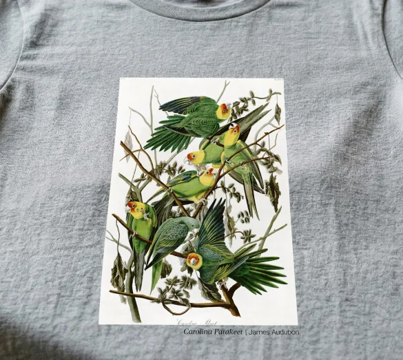 Koszulka z nadrukiem Carolina Parakeet James Audubon