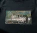 Bluzka damska Balet w Operze Paryskiej Edgar Degas