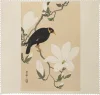 Wzgórze Myna na gałęzi magnolii