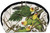Carolina Parakeet