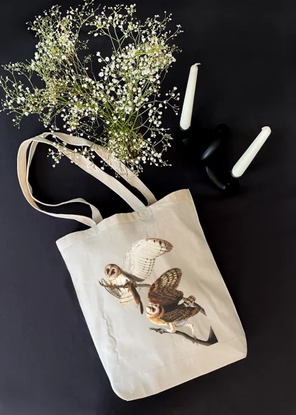 Torba bawełniana Barn Owl, Tyto Alba James Audubon