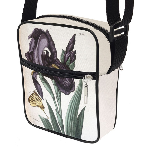 Listonoszka Irys szerokolistny Maria Sibylla Merian