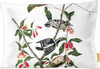 Downy Woodpecker