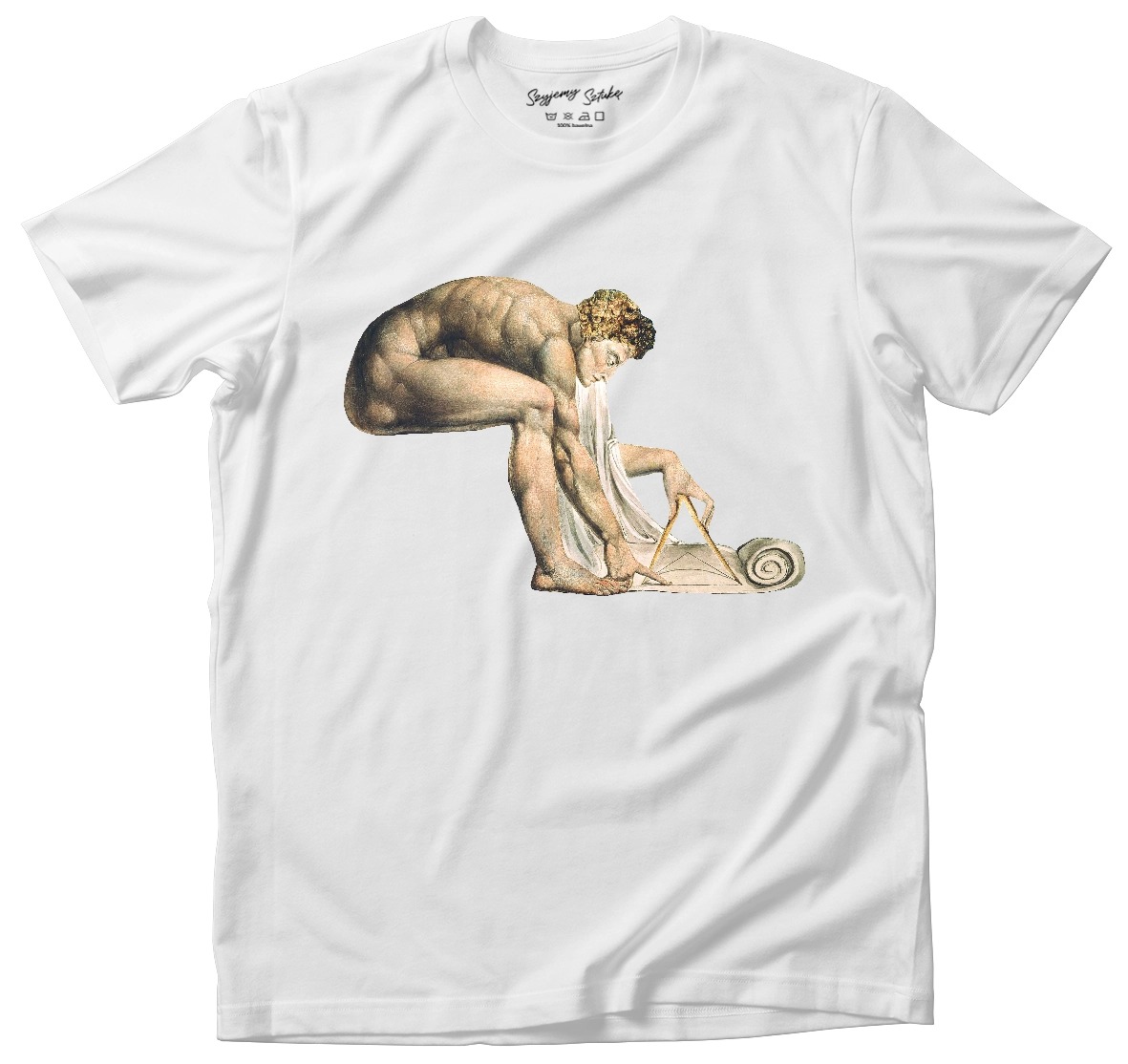 Koszulka Newton William Blake– koszulka z nadrukiem obrazu, t-shirt ze sztuką