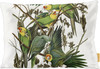 Carolina Parakeet