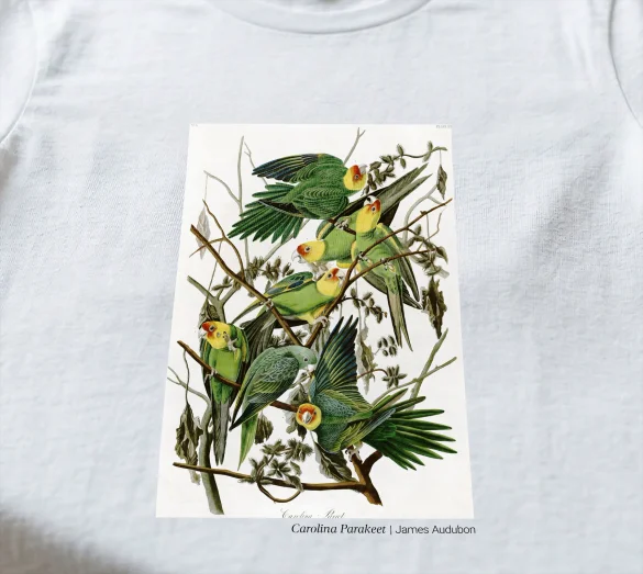 Koszulka z nadrukiem Carolina Parakeet James Audubon