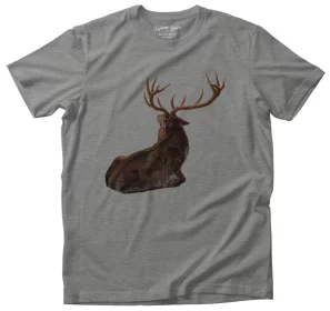 Koszulka Interrupted Joseph Wolf