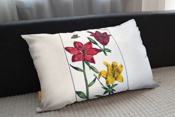 Poduszka Lilia czerwona Maria Sibylla Merian