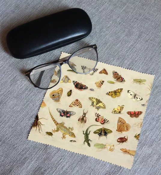 Ściereczka do okularów Studium owadów Jan van Kessel (starszy) 