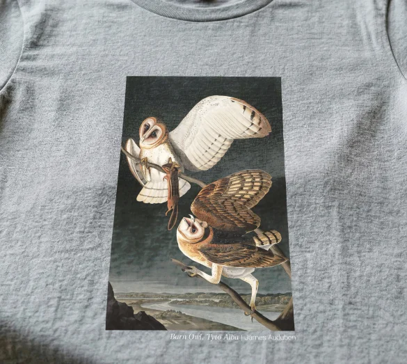 Koszulka z nadrukiem Barn Owl, Tyto Alba James Audubon