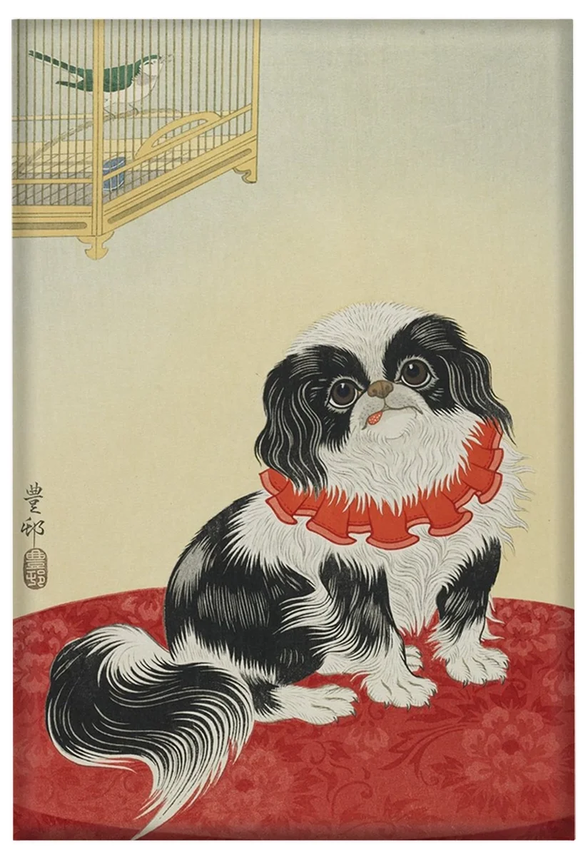 Magnes Pies pekińczyk Ohara Koson