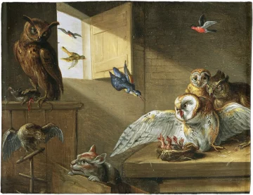 Podkładka na stół Rodzina sów, innych ptaków i kota Jan van Kessel (starszy)