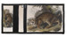 Portfel Common American Wildcat James Audubon