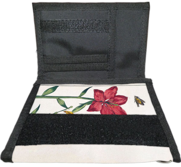 Portfel Lilia czerwona Maria Sibylla Merian