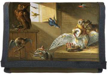 Portfel Rodzina sów, innych ptaków i kota Jan van Kessel (starszy)