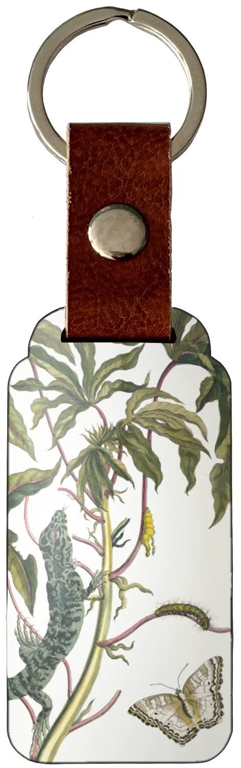 Brelok Cassave Maria Sibylla Merian