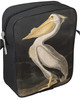 American White Pelican