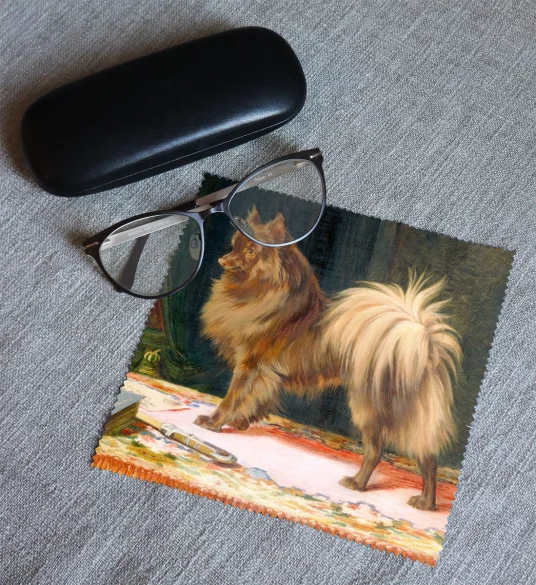 Ściereczka do okularów Portret Księcia Prerii William Henry Hamilton Trood