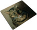 Podkładka Studium głowy kota tabby Louis Wain 24x19cm