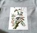 Bluzka damska Downy Woodpecker James Audubon
