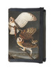Barn Owl, Tyto Alba