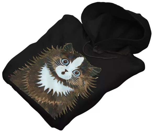 Bluza Kot w tęczy Louis Wain