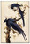 Magpie Jay