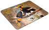 Concave casque Hornbill